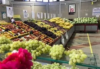 بلایی که کرونا بر سر صادرات میوه کشور آورد