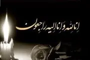 سرمربی تیم ملی بوکس عزادار شد