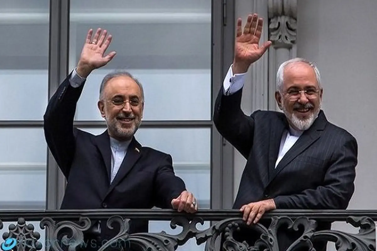 صالحی: خبرهای خوبی در مسائل هستهای داریم