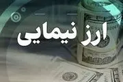 مهم‌ترین اثر حذف ارز نیما چیست؟
