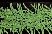 14 میلیارد تومان سهم ایران از حراج‌های لندن 