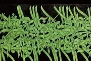 14 میلیارد تومان سهم ایران از حراج‌های لندن 