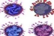 جدیدترین و دقیق‌ترین تصاویر از ویروس کرونا 