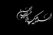 ناگفته های آقای مداح/بعضی مداحان برای مجلس گرمی، رقص نور راه می‌اندازند!