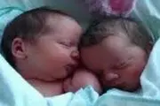 زنده شدن نوزاد دوقلو در سردخانه + جزئیات 