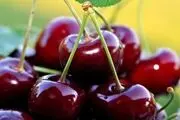 گیلاس به خواب آرام کمک می‌کند
