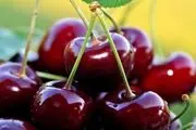 گیلاس به خواب آرام کمک می‌کند
