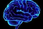 10 واقعیت عجیب درباره مغز که نمی‌دانستید!