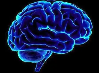 کشف مناطقی جدید در مغز برای کمک به فراموش کردن خاطرات منفی