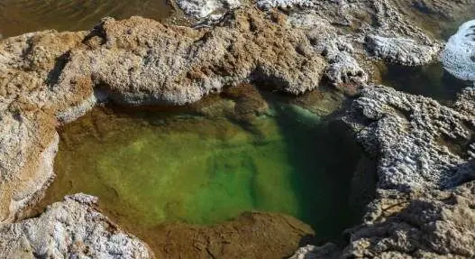 معجزه‌ای بی نظیر در دل کویر لوت /گزارش تصویری
