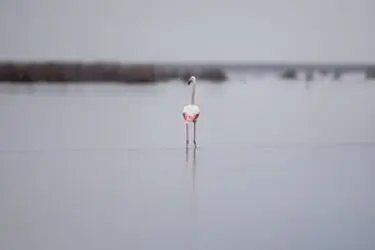 13951214001167636242323845693651_45163_PhotoU