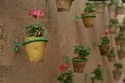 تصاویر زیبا از بهار در کوچه‌های آشتی‌کنان یزد
