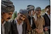 «درخت گردو» به نوبت اکران رسید
