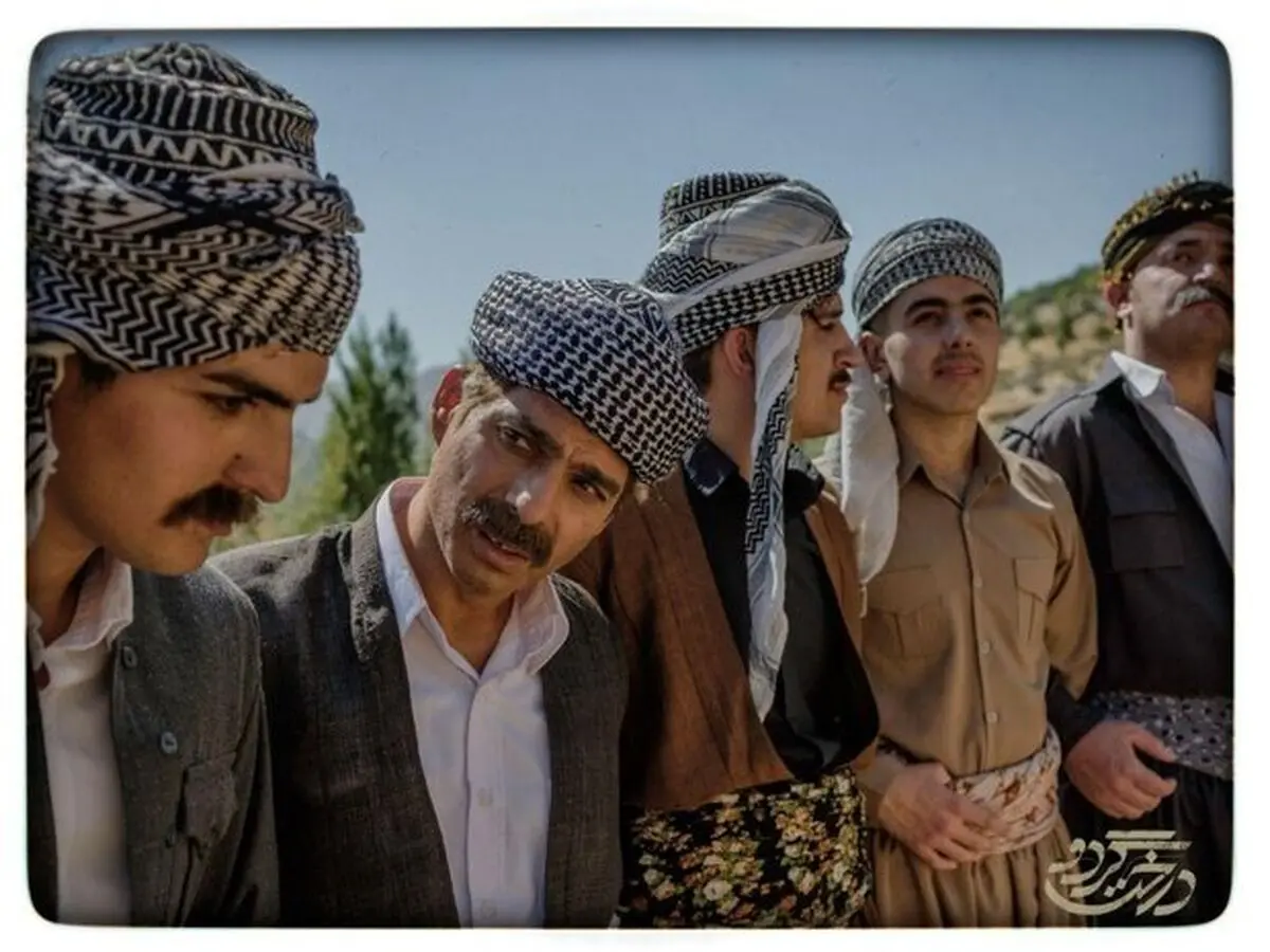 «درخت گردو» به نوبت اکران رسید