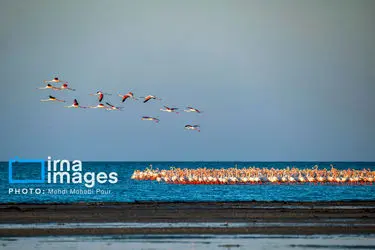 172705356_MXM_6916-Enhanced-NR