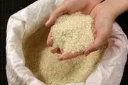 صادرات برنج باسماتی هند به ایران