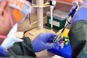 آمریکا سویه کشنده‌تر ویروس کووید را تولید کرد