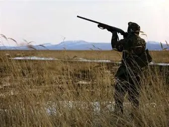 کشف سلاح شکاری غیر مجاز در علی آباد رودبار