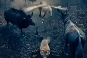 تصویر سازی هوش مصنوعی از روز قیامت
