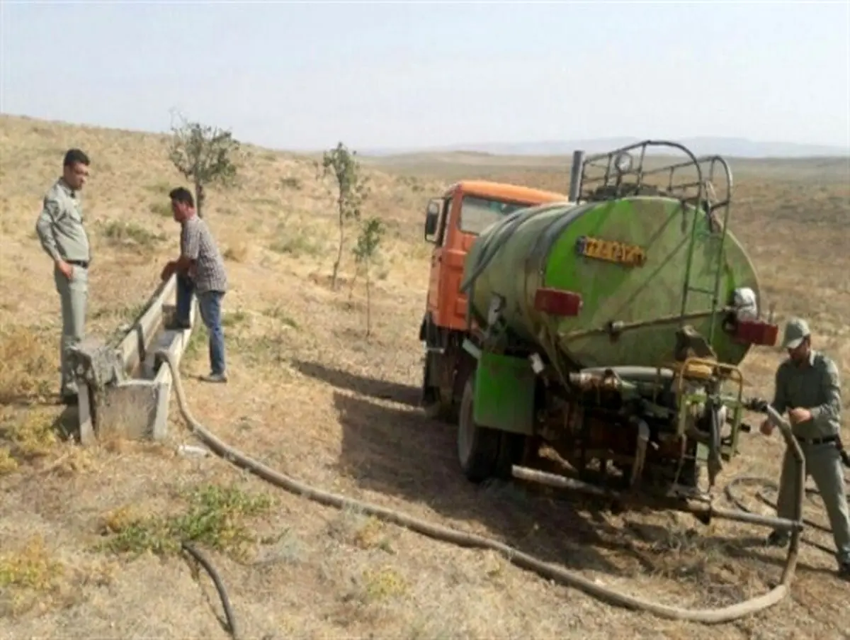 آبرسانی به آهوی مغان با تانکر سیار+عکس