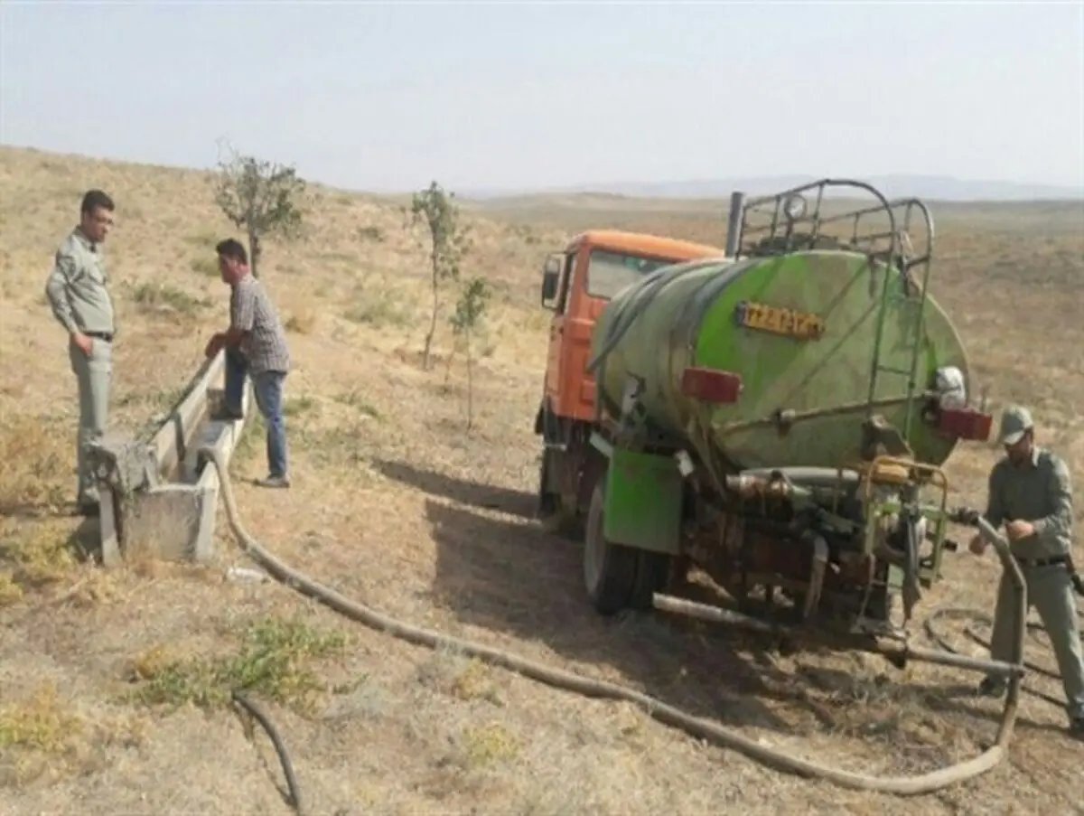 آبرسانی به آهوی مغان با تانکر سیار+عکس