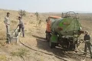 آبرسانی به آهوی مغان با تانکر سیار+عکس
