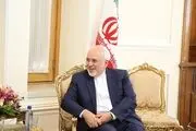 دیدار ظریف و رئیس جمهور فنلاند