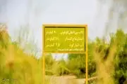 «تالاب گاوخونی» نگینی بر فلات مرکزی ایران /گزارش تصویری