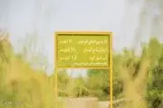 «تالاب گاوخونی» نگینی بر فلات مرکزی ایران /گزارش تصویری