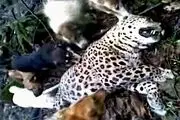 عکسی که عکاسش را افسرده کرد