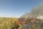 احتمال‌ آتش‌سوزی در بستر تالاب‌ هامون