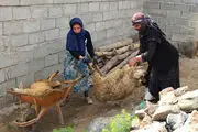 
تب برفکی فاجعه‌ای بزرگ‌تر از زلزله ارسباران


