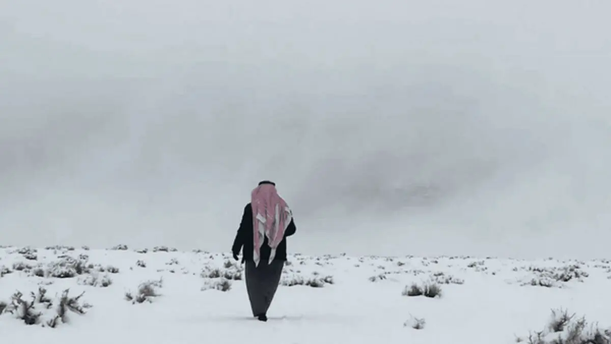 برف‌بازی سعودی‌ها در عربستان+فیلم