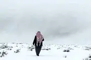 برف‌بازی سعودی‌ها در عربستان+فیلم