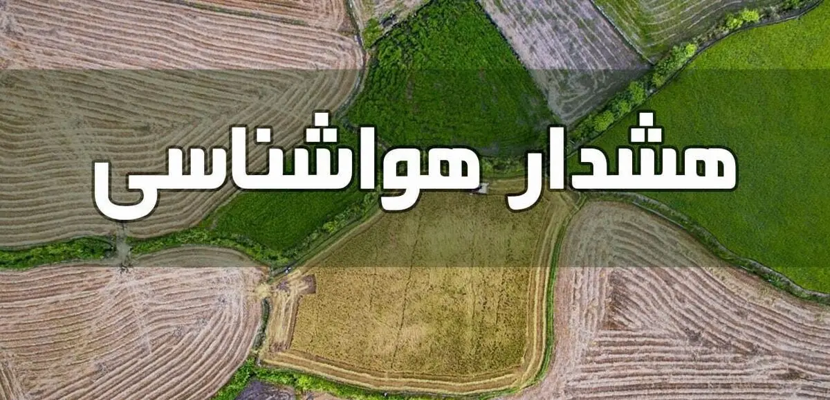 هشدار بارش باران به شالیکاران و دامداران
