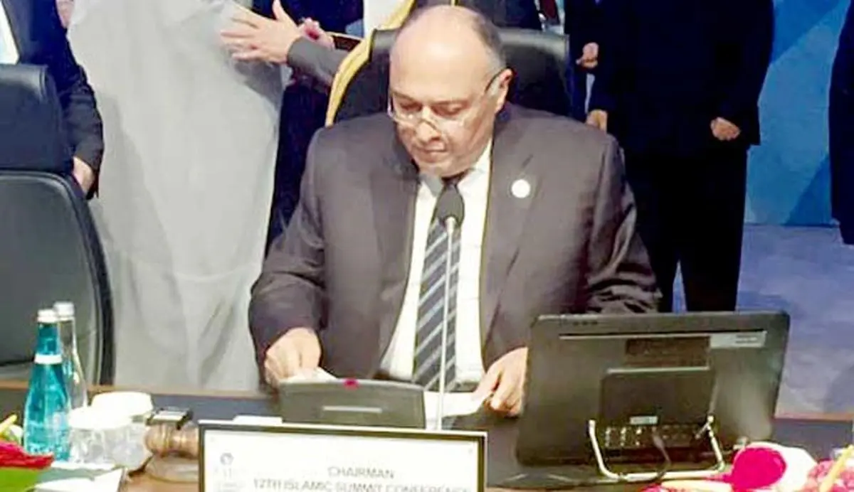 وزیرخارجه مصر استانبول را بدون خداحافظی ترک کرد