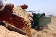 ارز ۴۲۰۰ تومانی هنوز حذف نشده ؛ این گرانی‌ها جهانی است