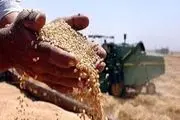 دست دولت در جیب خالی کشاورزان برای پرداخت یارانه نان