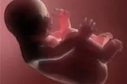 تشخیص جنسیت بچه با تست کلم قرمز