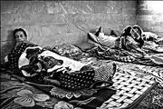 شکنجه معتادان برهنه با میله آهنی