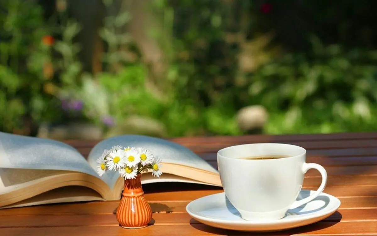 اگر به دنبال قدرت، ثروت و رفاه هستید حتما بخوانید