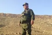 آقای نعمت‌زاده! اگر گورخر تکثیر کنید، من هم خودرو می‌سازم؛ البته با کیفیت!