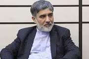 بازار ارز و طلا رها شده است/دولت باید تیم اقتصادی منسجم‌تر و فعال‌تری به میدان بیاورد