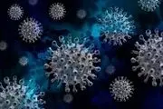 علامت جدید امیکرون که در شب ظاهر می‌شود
