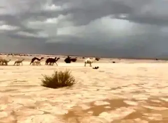 تبدیل شدن صحرا به رودخانه یخی در عربستان