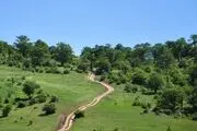 قابی زیبا از طبیعت بهاری روستای جواهر ده