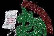 وارد مرحله هدف‌ قرار دادن اقتصاد 