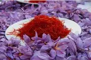 توسعه صنایع تبدیلی و تکمیلی به کمک صادرات زعفران می‌آید
