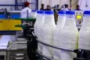 افزایش قیمت شیرخام به بهانه نوسان نهاده دامی
