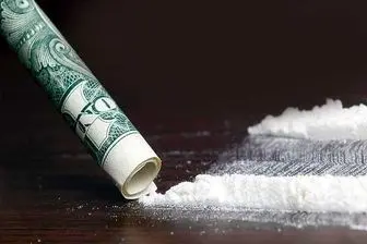 بلژیک و هلند، کانون قاچاق کوکائین در اروپا